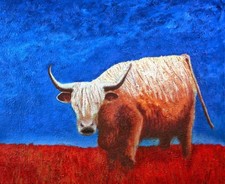 print of Highland Bull, from a series of  oil paintings  The Animal Gaze