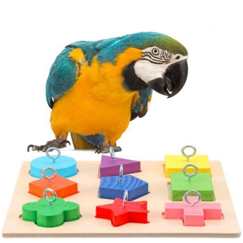 Pet educational parrot toys - educational,