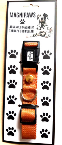 Dog collar with strong magnet - dog,