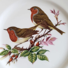 Coalport Plate ROBIN REDBREAST
