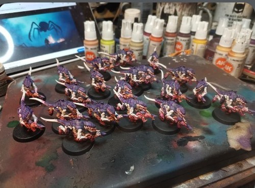 Pro painted tyranid - pro, termagants