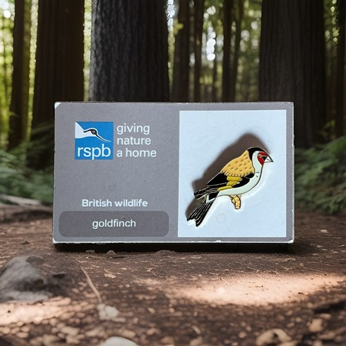 Rspb pin badge goldfinch a - goldfinch,