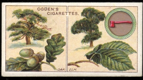 Tobacco card ogdens boy - ogdens,,