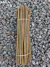 50 Cuttings, Fast Growing Hybrid Willow 30cm Biomass Hedging Firewood 