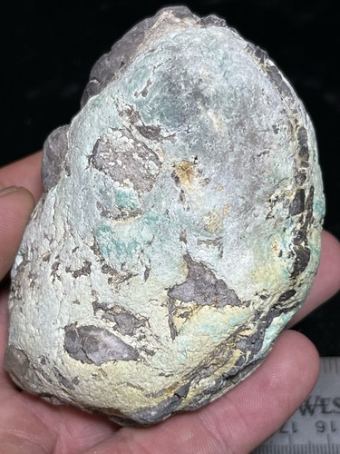 Broken arrow variscite clam - arrow,