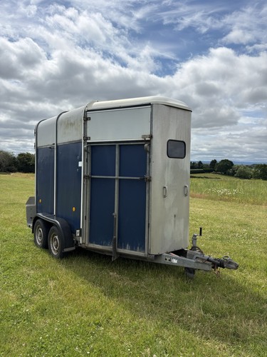 Ifor williams hb505r - williams, horse