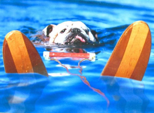 You going need a bigger - going,