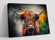 Highland cow multi - highland, colour