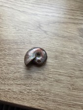 Genuine 3cm iridescent - genuine,