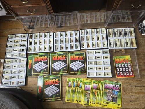 Complete set bugs - complete, resin