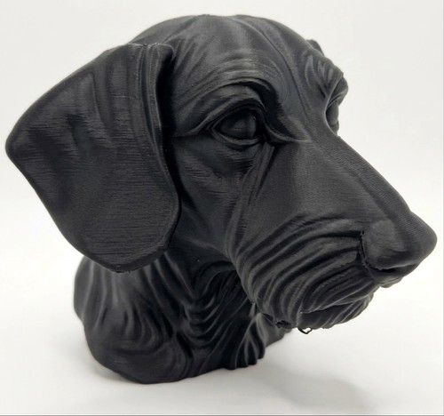 Wire haired dachshund dog bust - dachshund,