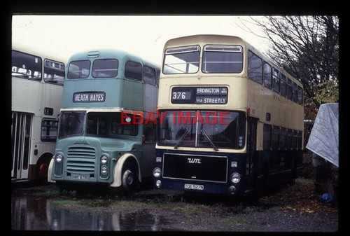 Photo harper leyland - ,