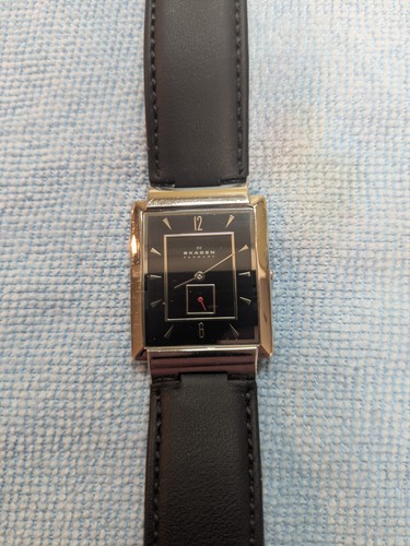 Gently used skagen - used,