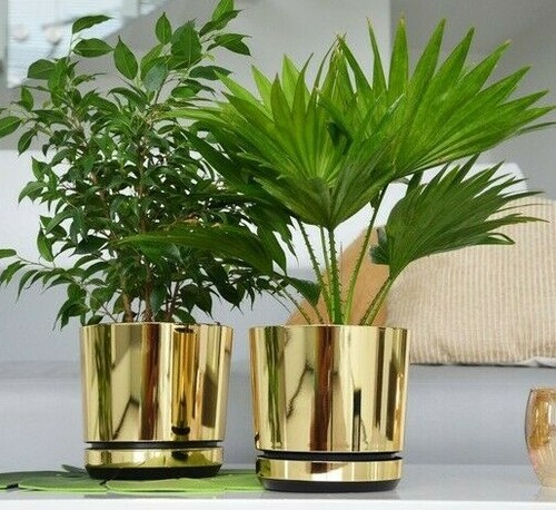 Korad indoor mirror gold - korad, plant