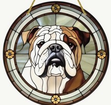 ENGLISH BRITISH BULLDOG Dog