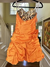 Rare Orange Leopard Fairy