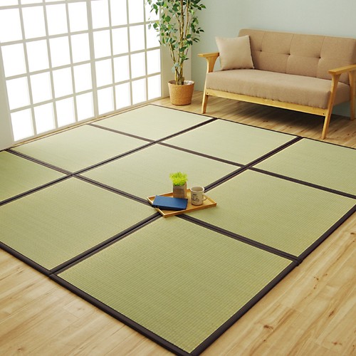 Ikehiko japanese rush grass - ikehiko,