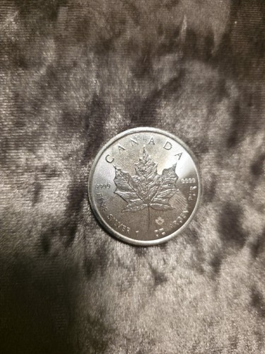 2026 1oz silver - silver, canada