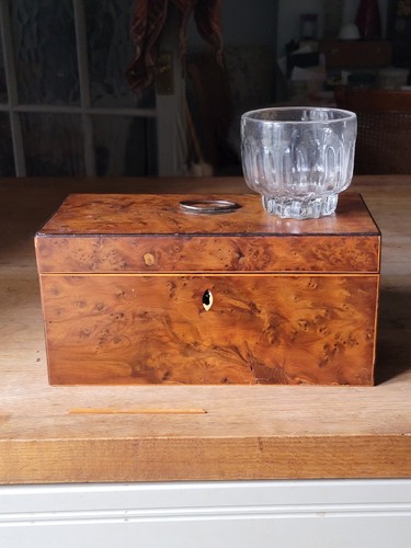 Regency burr wood - wood, tea