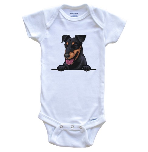 Manchester terrier dog breed - terrier,