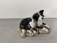 Collie Dogs Border Fine Arts