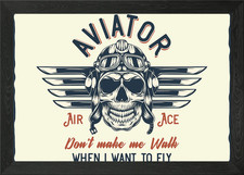 Aviator Framed Wall Art Poster