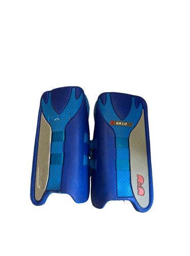 Hockey goalkeeper leg - tk,
