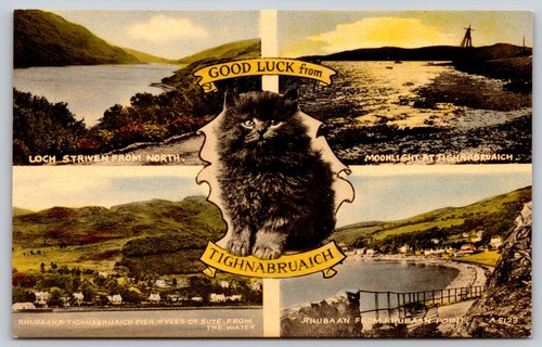 Vintage multi view - vintage, multi-view