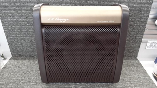 Baggs acoustic guitar - l.r.baggs,