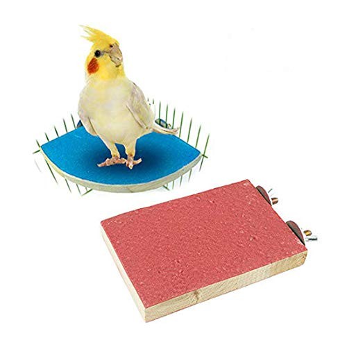 Bird perch platform parrot - bird,