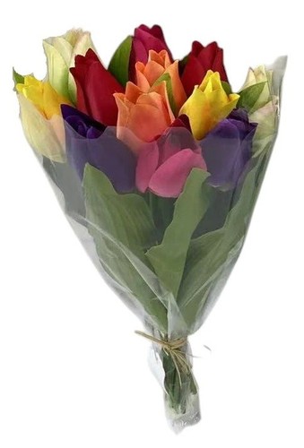 Head mixed colour - 12,