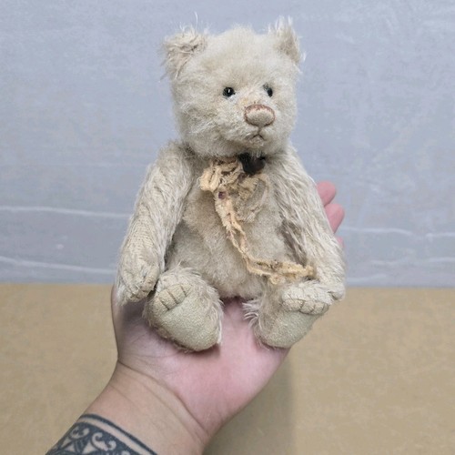 Charlie bears minimo dinky - bears,