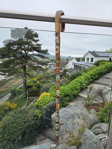 Swagger stick with many - many, badges