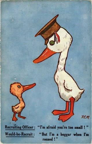 Artist signed birds - artist, ducks