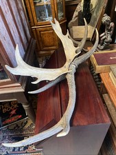 Beautiful Antique Home Decor Wall Hanging Decorative Design Art Interior Design