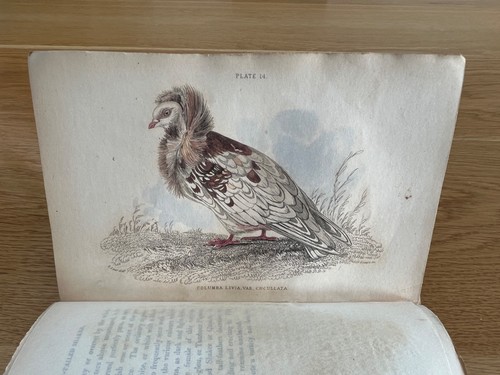 1835 jardine the - 1835,