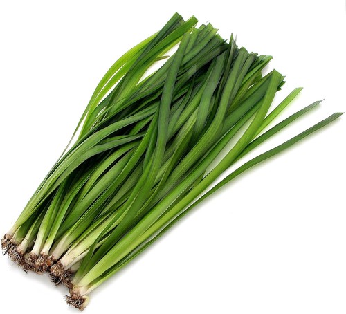 K2aqua vallisneria - k2aqua, x