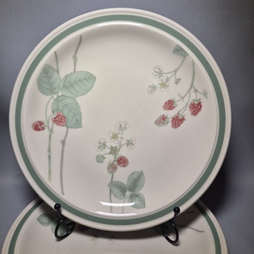 Wedgwood raspberry cane - raspberry,