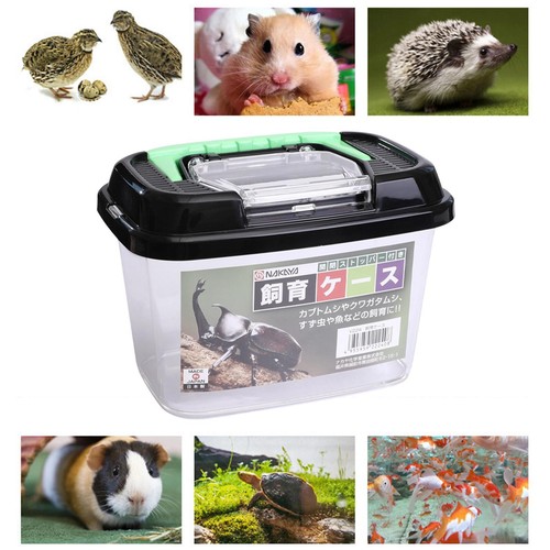 Reptile cricket keeper - reptile,