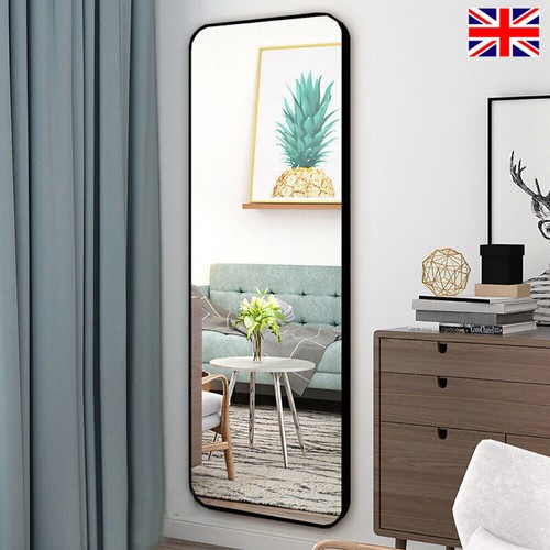 Long mirror wall mounted full - mirror,