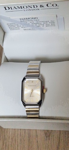 The diamond ladies watch - the,