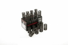 FOR Ford RS2000 16V engines Piper Cams Single Valve Springs 
