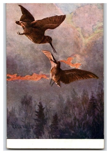 Löbenberg 1910 woodcock - v.,