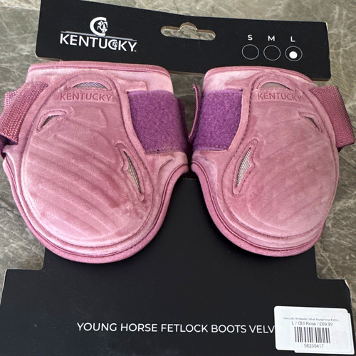 Kentucky young horse - young,
