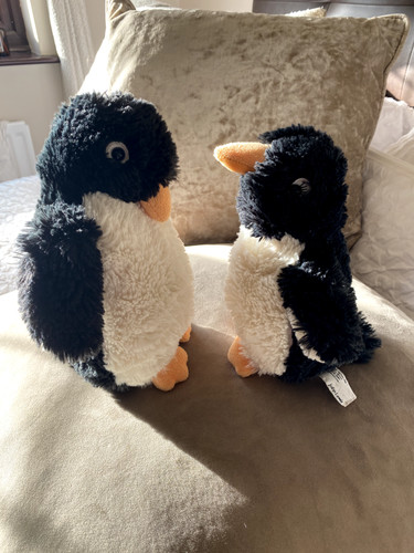 Jellycat john lewis - jellycat,