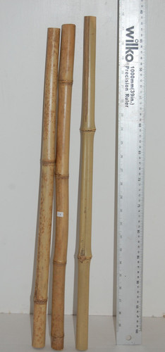 Bamboo poles reptiles - bamboo, poles,