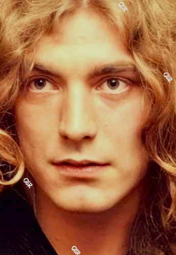 Robert plant led zeppelin - led,