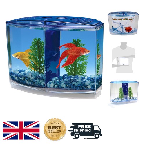 Compact bowfront betta tank - betta,