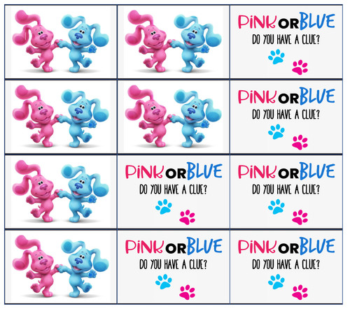 Blues clues gender reveal - 12,