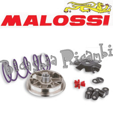 6011 - Malossi MHR Variator